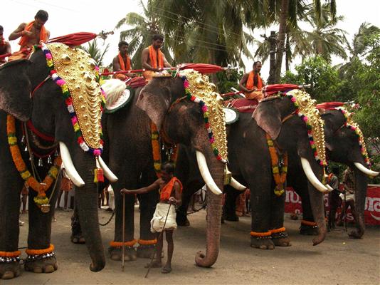 Land of elephants Kerala