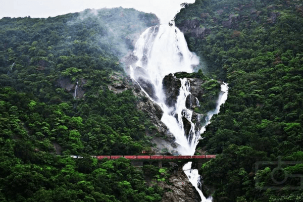 Dudhsagar waterfalls in Goa