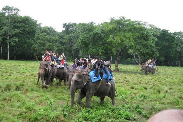 Chitwan National Park, Nepal