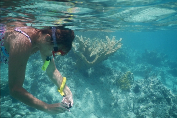 Neil Island, Places For Snorkeling In Andaman