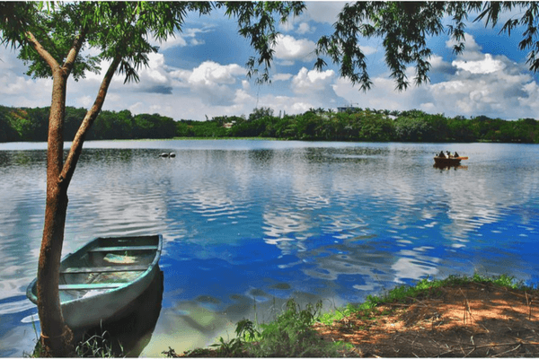Karanji Lake, Mysore
