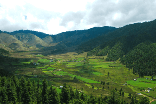 Phobjikha Valley, Bhutan