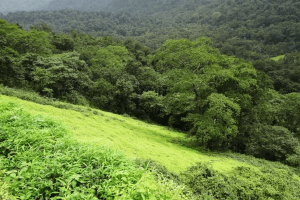 18 Places To Visit In Coorg That Are Incredibly Spectacular