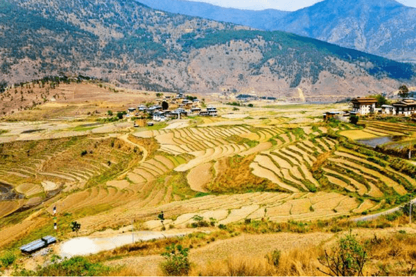 Limbukha, Bhutan