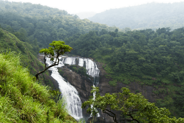 coorg tour by thomas cook