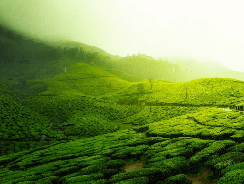 18 Places to Visit in Coorg That Are Incredibly Spectacular - Thomas Cook
