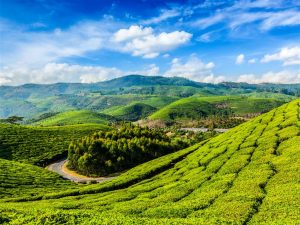 12 Stunning Places To Visit In Munnar - The Switzerland of South India