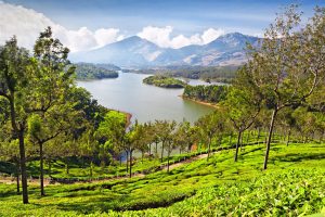 12 Stunning Places To Visit In Munnar - The Switzerland of South India