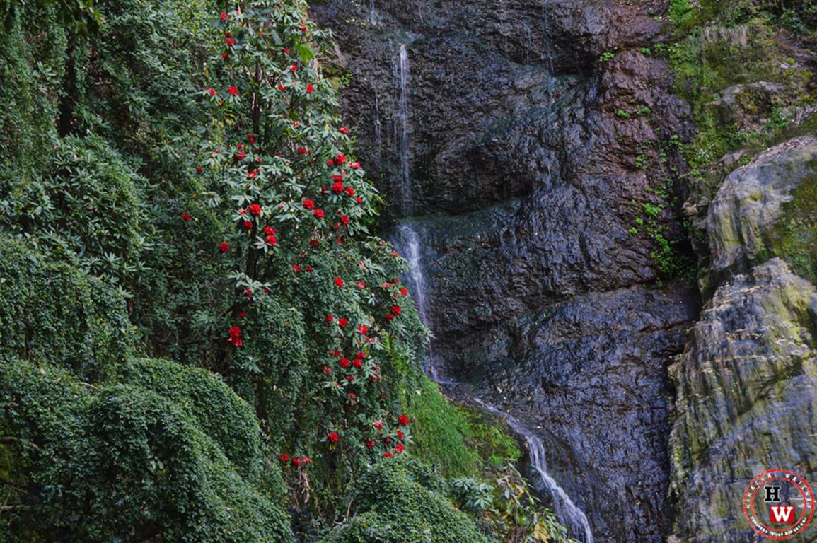 Bathe in Chadwick waterfall -  Things To Do In Shimla