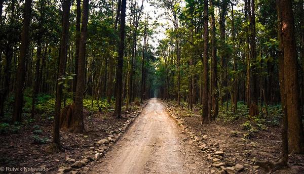 Jim Corbett National Park, Uttarakhand