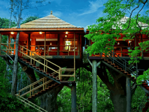 Looking To Stay in A Tree House in Kerala? Here are 15 Best Tree House Resorts