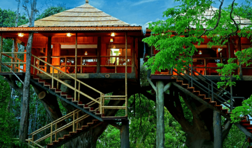 Looking To Stay in A Tree House in Kerala? Here are 15 Best Tree House Resorts