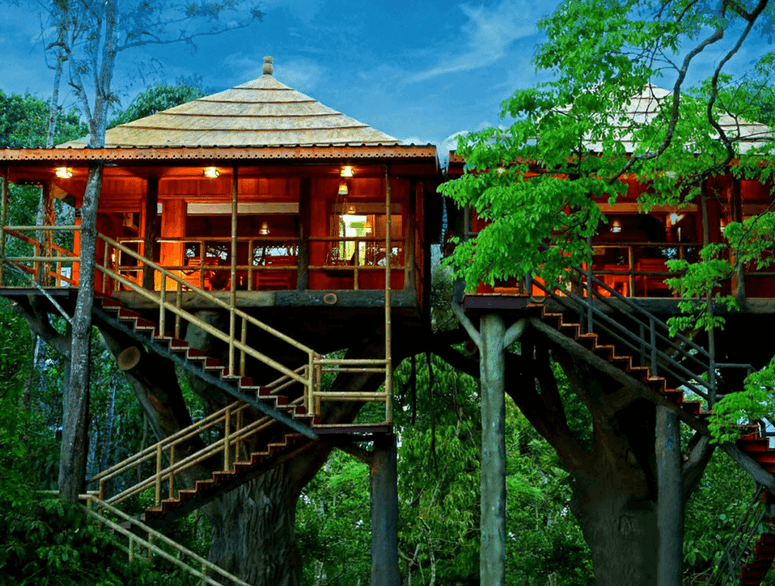 Tree House Resorts, Kerala 15 Best Tree House Resorts (2020 Updated