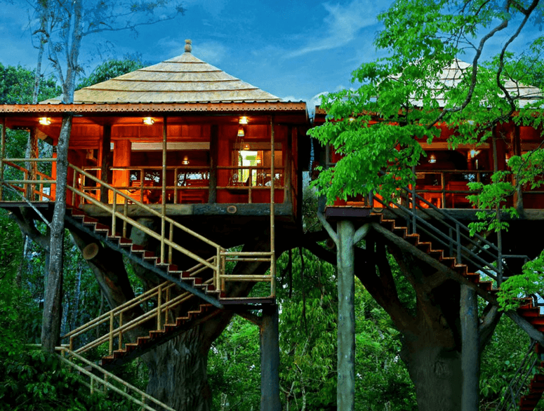 Tree Top Resort Munnar - Cronoset