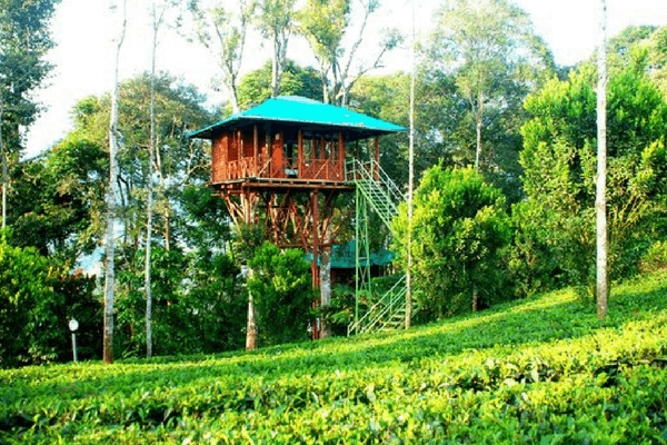Dream Catcher Plantation Resort, Amongst Best Tree House Resorts