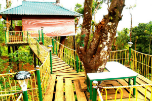 Looking To Stay In A Tree House In Kerala? 15 Best Tree House Resorts