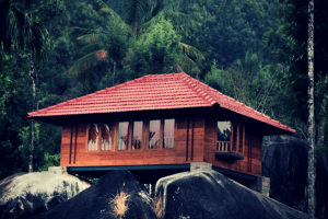 Looking To Stay In A Tree House In Kerala? 15 Best Tree House Resorts