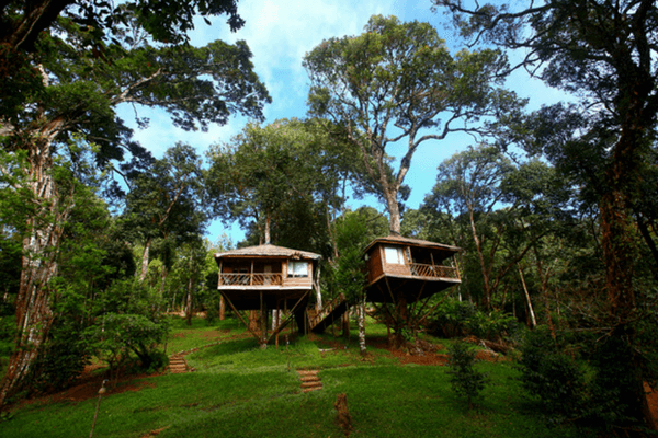 Nature Zone Resort, Amongst Best Tree House Resorts