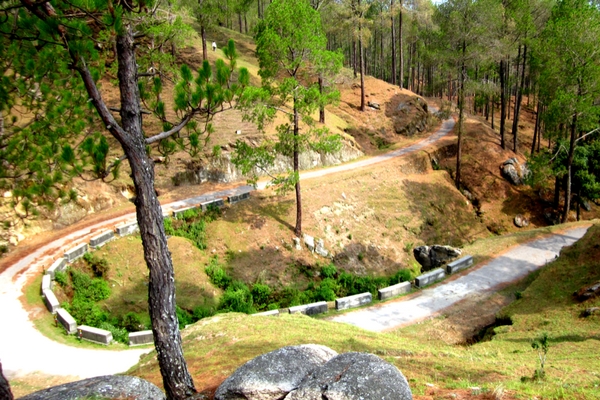 Sarna Garden Road, Ranikhet, Uttarakhand