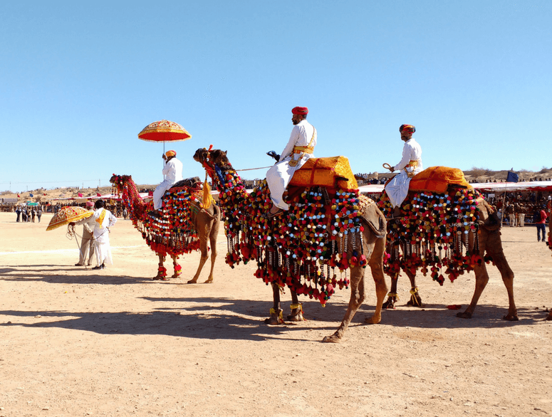 Rajasthan Tour