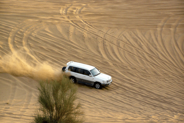Desert Safari, Dubai