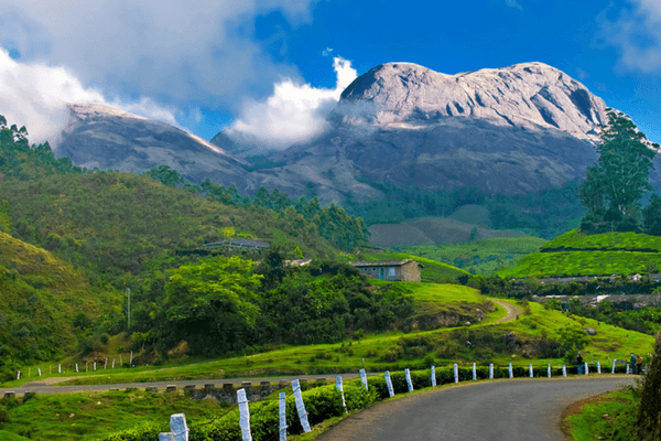 Munnar - Most Romantic Honeymoon Destinations In India