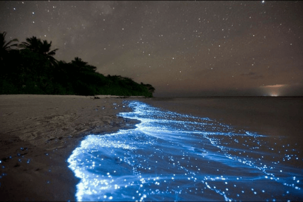 Bioluminescent Beach, Maldives
