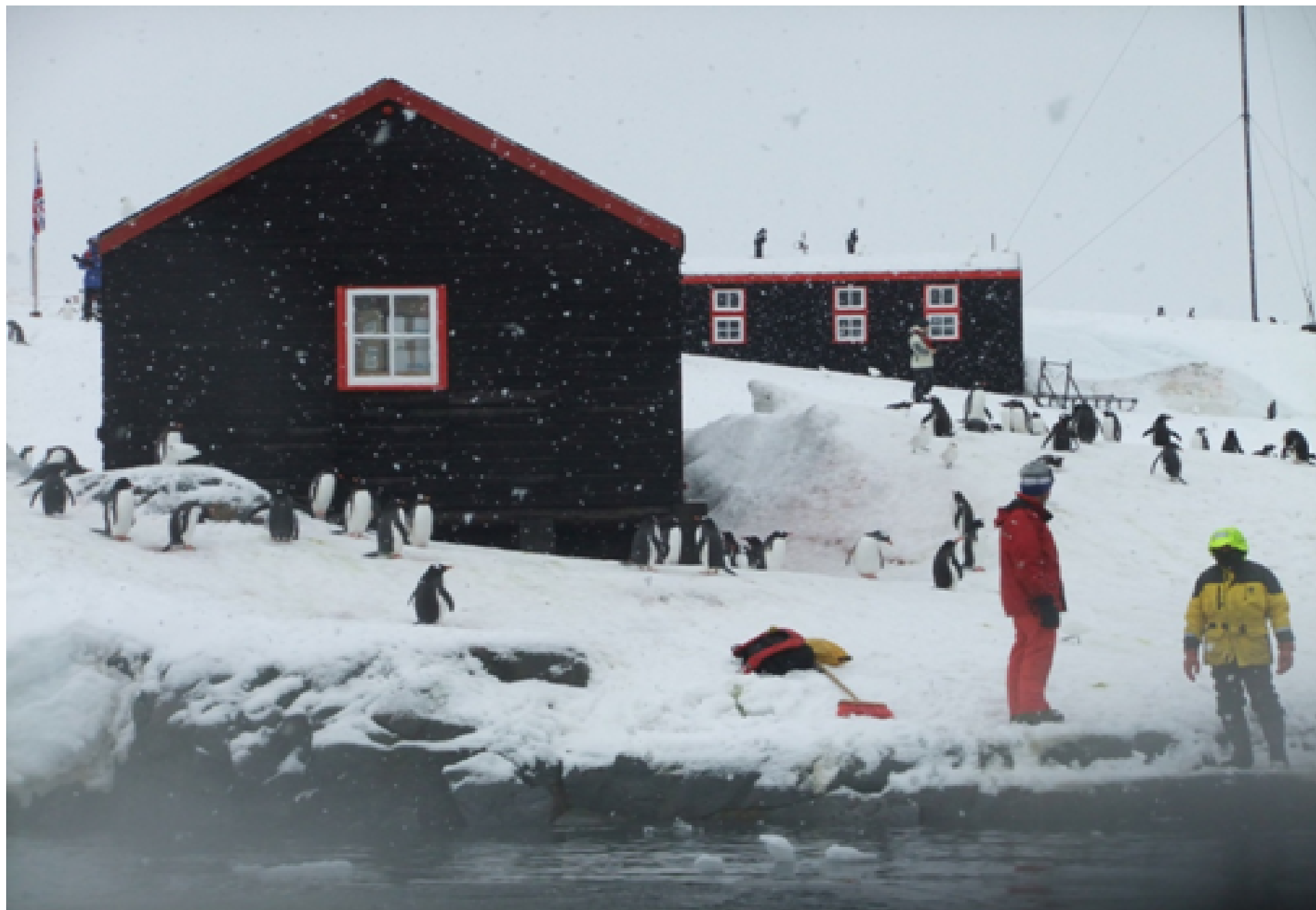 Sending a Postcard from Port Lockroy