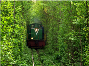 The Tunnel of Love Ukraine