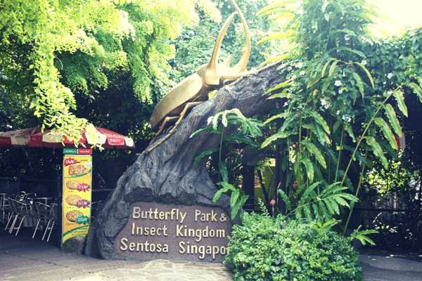Butterfly park and insect kingdom