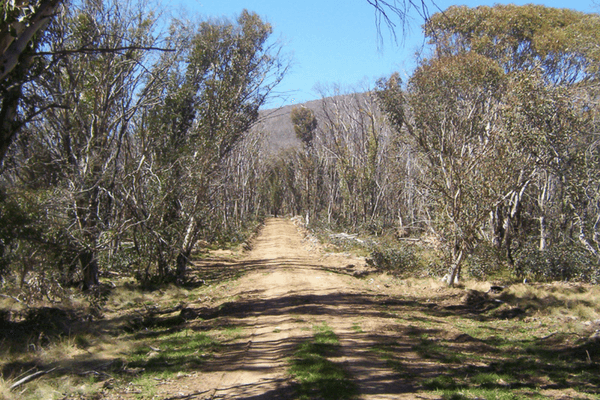Namadgi National Park, Australia