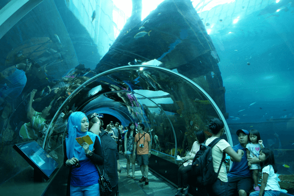 S.E.A Aquarium - Sentosa Island