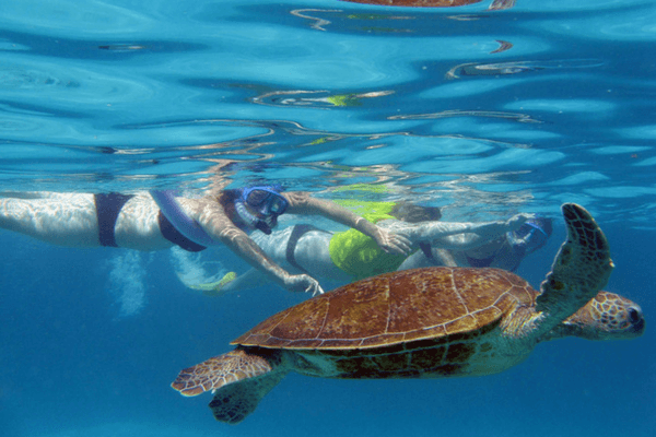 Snorkleing in the Coral Lagoon - Ningaloo, Australia