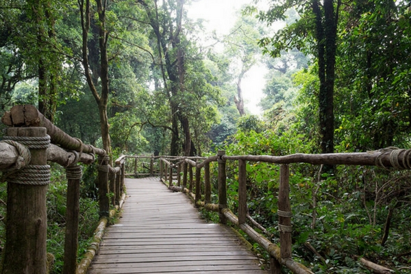 Doi Inthanon National Park - 100 Places To Visit In Thailand