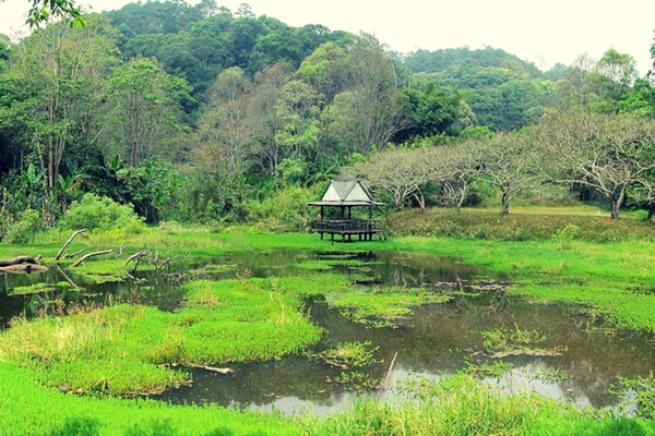 Doi Pui - 100 Places To Visit In Thailand