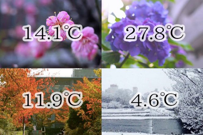 Average seasonal temperatures - Best Time To Visit Japan