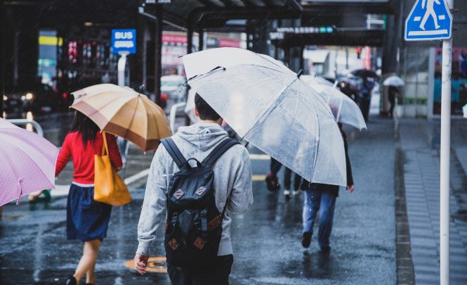 Monsoon in Japan- Best Time To Visit Japan