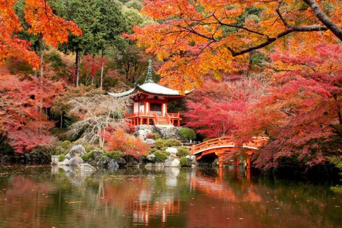 Autumn in Japan- Best Time To Visit Japan