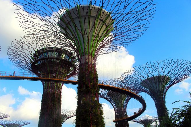 Botanical gardens - romantic places in singapore