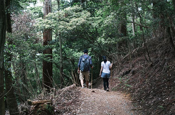 Hiking-things to do in Japan