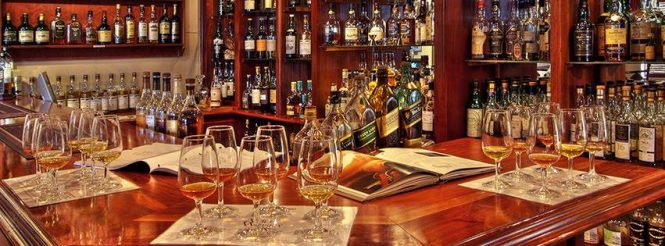 Wild About Whisky- South African nightlife