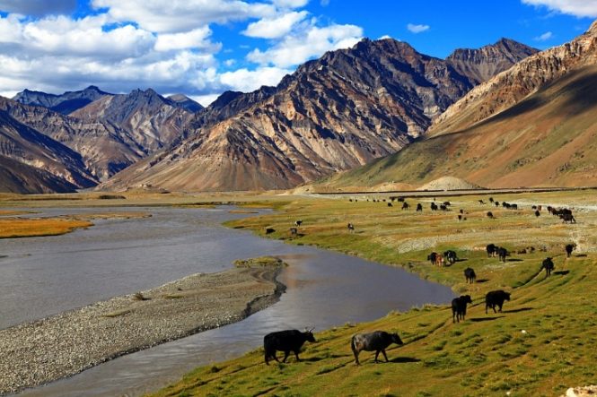 Zanskar valley- Ladakh Adventure