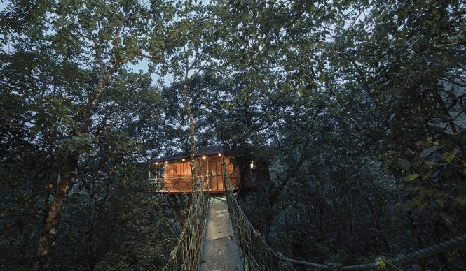 Best Tree Houses in India- Vythiri Tree House