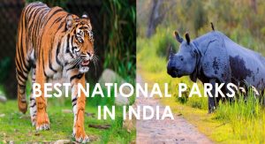 national park in india