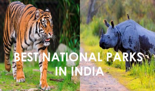 national park in india