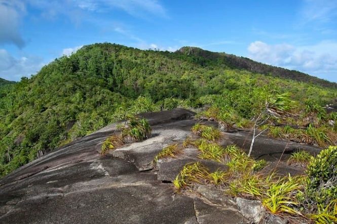 Copolia Trail - Things to do in Seychelles