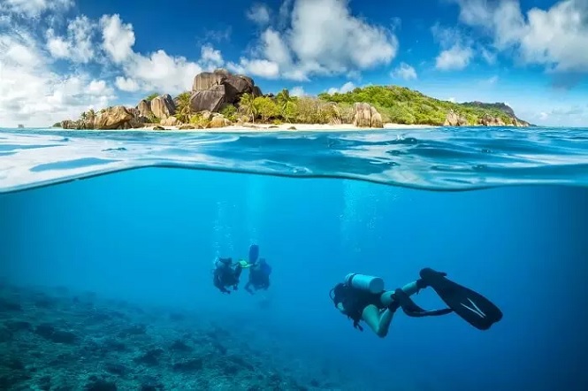Snorkelling and Scuba Diving 