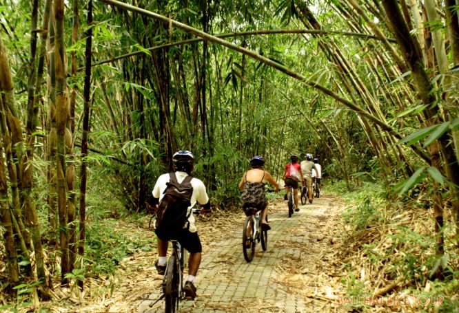 Mountain Biking - Bali Adventure