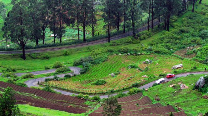 Ooty- Child-friendly destinations in India
