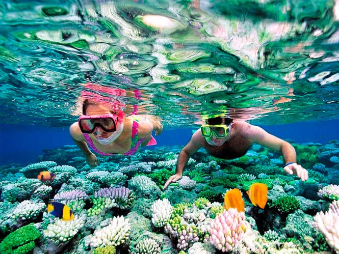 Snorkelling - Things to do in Andaman
